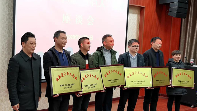 喜大普奔！炬神電子被評(píng)為湖南省“小巨人”企業(yè)